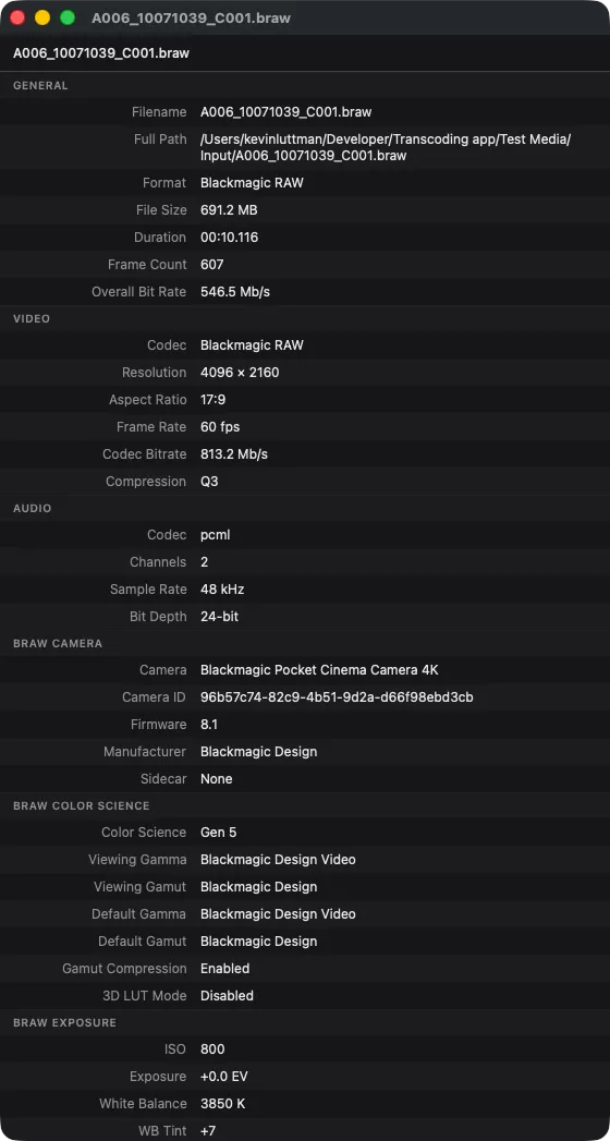 Metadata viewer showing RAW file details