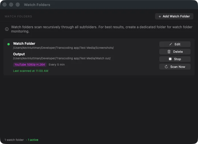 Watch Folders panel showing active folder monitoring with preset and scan interval